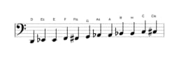 Noten der Tonleiter D Chromatisch in drei Oktaven (2)