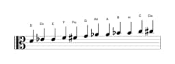 Noten der Tonleiter D Chromatisch in drei Oktaven (4)