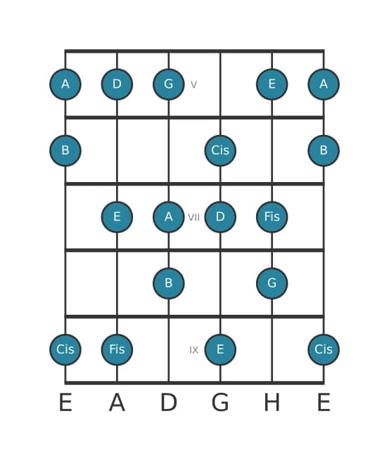 Gitarrenskala für D Harmonisch Dur in Position 4