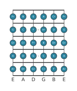 Guitar scale for B Chromatic in position 1
