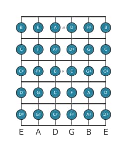Guitar scale for B Chromatic in position 6