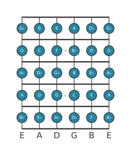 Guitar scale for C Chromatic in position 1
