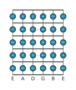 Guitar scale for C sharp Chromatic in position 1