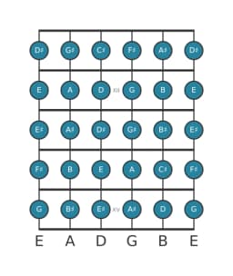 Guitar scale for C sharp Chromatic in position 10