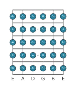 Guitar scale for C sharp Chromatic in position 3