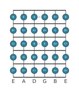 Guitar scale for C sharp Chromatic in position 6