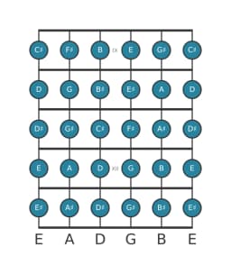 Guitar scale for C sharp Chromatic in position 8