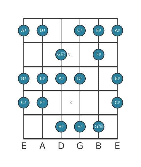 Guitar scale for C sharp Major augmented in position 5