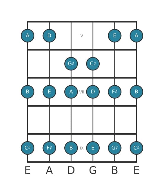 Guitar scale for C sharp Phrygian in position 4
