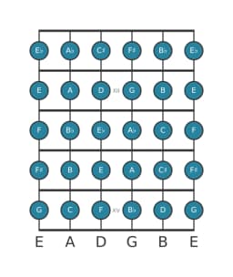 Guitar scale for D Chromatic in position 10