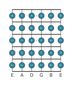 Guitar scale for D Chromatic in position 6