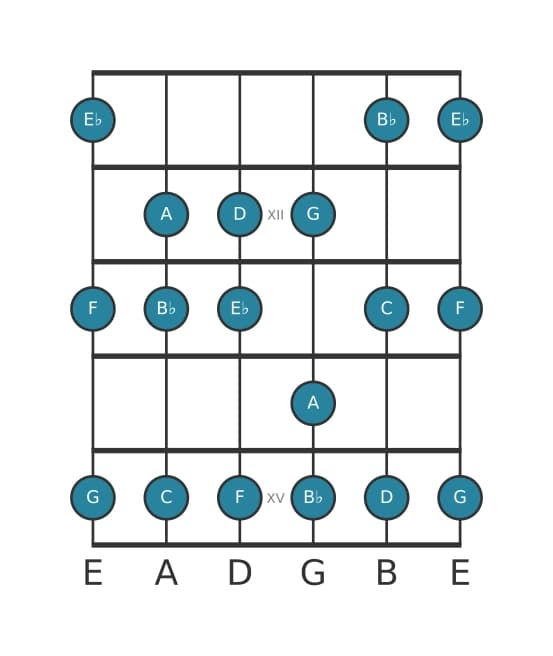 Guitar scale for D Phrygian in position 10