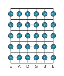 Guitar scale for E Chromatic in position 1