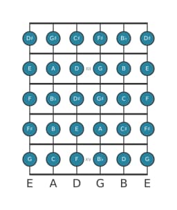 Guitar scale for E Chromatic in position 10