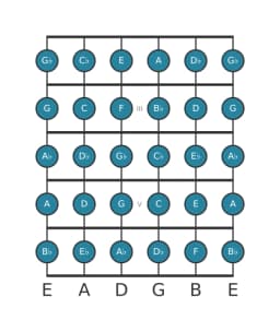 Guitar scale for F Chromatic in position 1