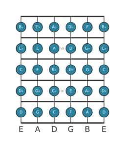 Guitar scale for F Chromatic in position 5