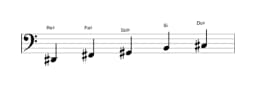 Partitura de la escala Re sostenido Malkos raga en tres octavas (2)