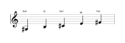 Partitura de la escala Sol sostenido Malkos raga en tres octavas (3)
