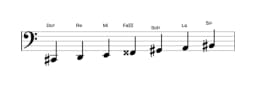Partitions de la gamme Do dièse Todi raga en trois octaves (2)