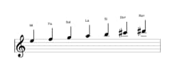 Partitions de la gamme Mi Naplitain majeure en trois octaves (5)