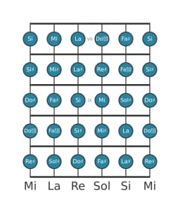 Gamme de guitare pour Re dièse Chromatique en position 6