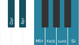 Scala di pianoforte per Do Diesis Tono Intero Principale