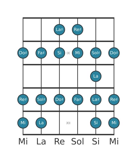 Scala per chitarra per Re Diesis Bebop Locria nella posizione 7
