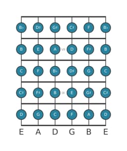 Gitaar toonladder voor E Chromatisch in positie 5