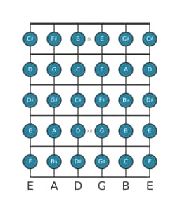 Gitaar toonladder voor E Chromatisch in positie 8