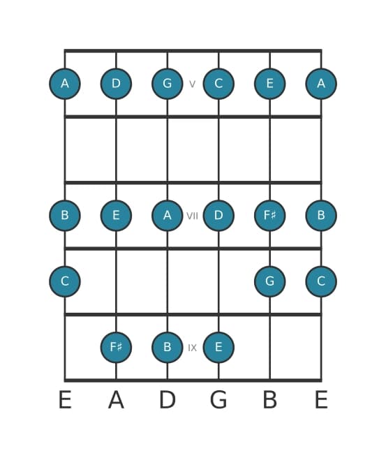 Gitaar toonladder voor E Mineur in positie 4